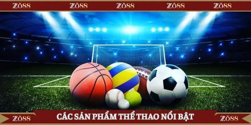 Các sản phẩm thể thao nổi bật