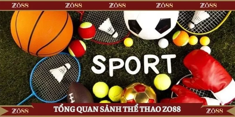 Tổng quan sảnh thể thao Zo88